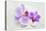 Orchid Blossoms on White Sand-Uwe Merkel-Premier Image Canvas