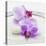 Orchid Blossoms on White Sand-Uwe Merkel-Premier Image Canvas