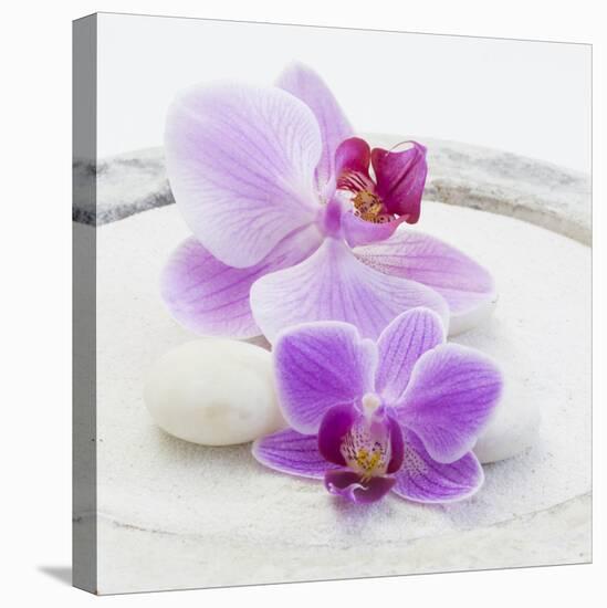 Orchid Blossoms on White Sand-Uwe Merkel-Premier Image Canvas