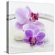 Orchid Blossoms on White Sand-Uwe Merkel-Premier Image Canvas