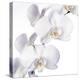 Orchid Flowers-Johnny Greig-Premier Image Canvas