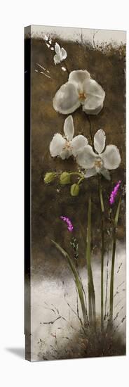 Orchid I-Rick Novak-Stretched Canvas