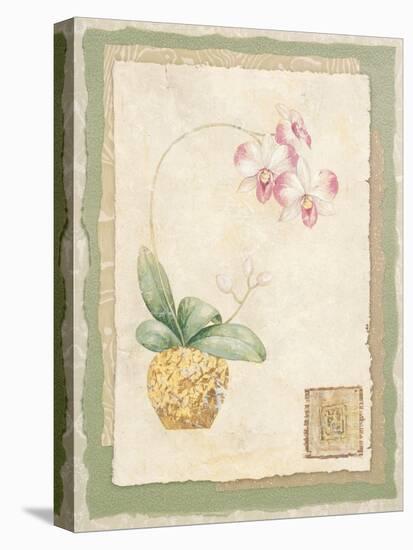 Orchid I-Pamela Gladding-Stretched Canvas