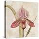 Orchid III-Cheri Blum-Stretched Canvas
