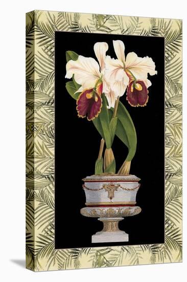 Orchid in Urn II-Deborah Bookman-Stretched Canvas