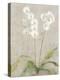 Orchid Light-Cheri Blum-Stretched Canvas