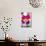 Orchid Miltonia-Charles Bowman-Premier Image Canvas displayed on a wall