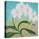 Orchid Opus-Herb Dickinson-Premier Image Canvas