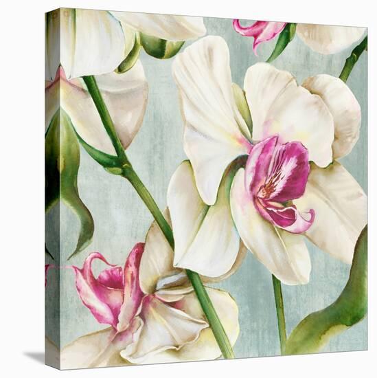 Orchid Pink-Alex Black-Stretched Canvas