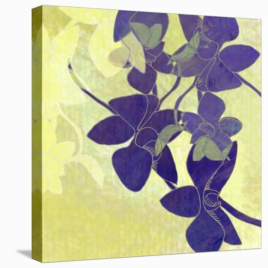 Orchid Shadows I-Jan Weiss-Stretched Canvas