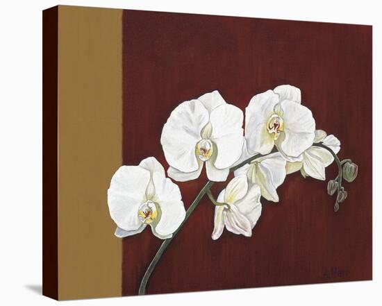 Orchid Study II-Ann Parr-Stretched Canvas