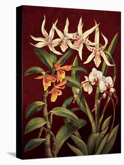 Orchid Trio I-Rodolfo Jimenez-Stretched Canvas
