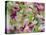 Orchid-Adam Jones-Premier Image Canvas