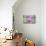 Orchid-Rob Tilley-Premier Image Canvas displayed on a wall