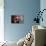 Orchid-Gordon Semmens-Premier Image Canvas displayed on a wall