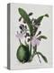 Orchid-Samuel Holden-Premier Image Canvas