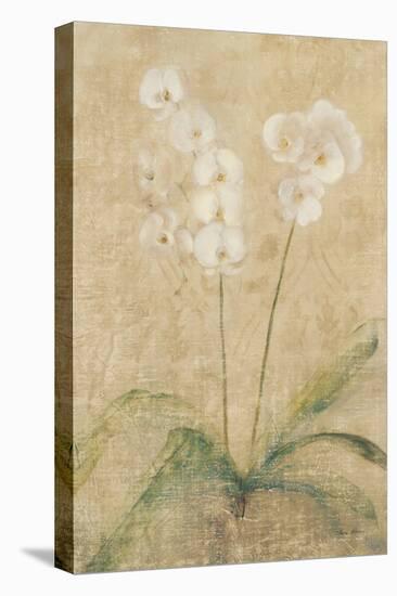 Orchid-Cheri Blum-Stretched Canvas