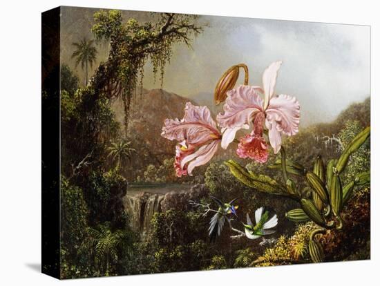 Orchids and Hummingbirds in a Brazilian Jungle, C. 1871-72-Martin Johnson Heade-Premier Image Canvas