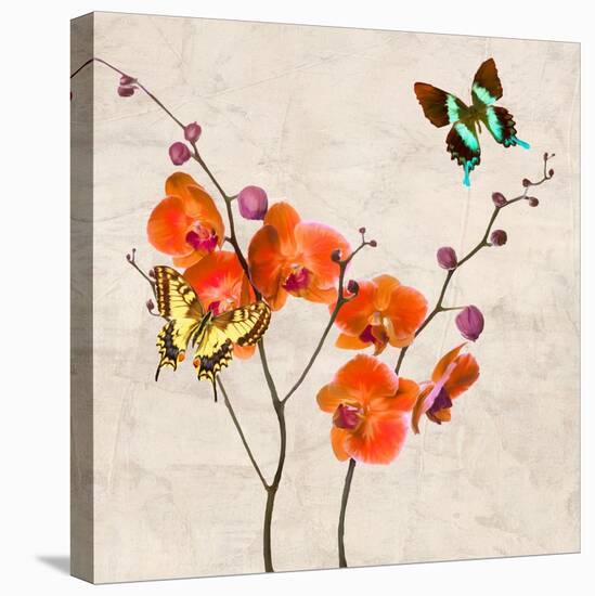 Orchids & Butterflies I-Teo Rizzardi-Stretched Canvas
