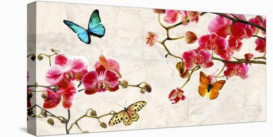 Orchids & Butterflies-Teo Rizzardi-Stretched Canvas