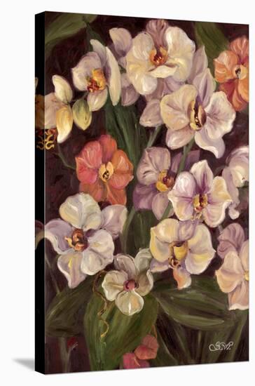 Orchids II-Shari White-Stretched Canvas