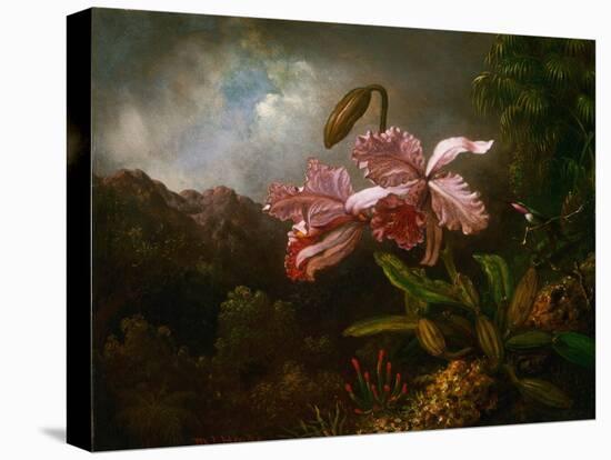 Orchids in a Jungle, 1870S (Oil on Canvas)-Martin Johnson Heade-Premier Image Canvas