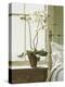 Orchids In The Window-Zhen-Huan Lu-Premier Image Canvas