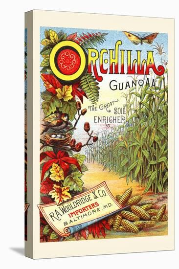 Orchilla Guano Aa-null-Stretched Canvas
