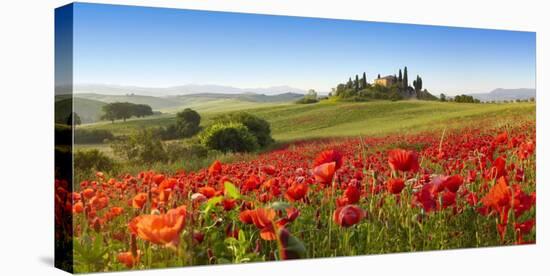 Orcia valley in spring, Tuscany (detail)-Fabio Muzzi-Stretched Canvas