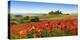 Orcia valley in spring, Tuscany (detail)-Fabio Muzzi-Stretched Canvas