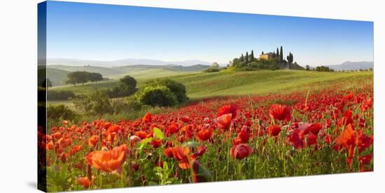 Orcia valley in spring, Tuscany (detail)-Fabio Muzzi-Stretched Canvas