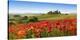 Orcia valley in spring, Tuscany (detail)-Fabio Muzzi-Stretched Canvas