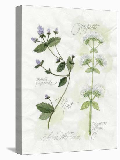 Oregano and Mint-Elissa Della-piana-Stretched Canvas