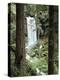 Oregon, a Waterfall in an Old Growth Forest-Christopher Talbot Frank-Premier Image Canvas