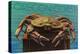 Oregon Coast - Dungeness Crab Vintage Postcard-Lantern Press-Stretched Canvas