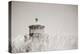 Oregon Coast Lighthouse Neutral-Nathan Larson-Premier Image Canvas