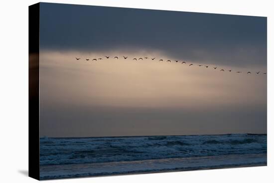 Oregon Coast Sunset 2-Erin Berzel-Premier Image Canvas