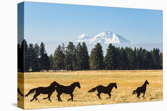 Oregon, Columbia River Basin, Deschutes River Basin, metal sculpture of mustangs in field-Alison Jones-Premier Image Canvas