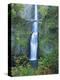 Oregon, Columbia River Gorge National Scenic Area, Multnomah Falls-Jamie & Judy Wild-Premier Image Canvas