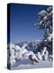 Oregon, Crater Lake National Park. Winter snow accumulates at Crater Lake-John Barger-Premier Image Canvas