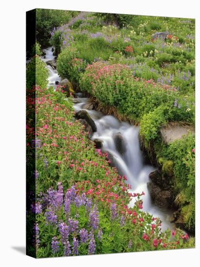 Oregon, Mt. Hood Wilderness. Wildflowers Along Elk Cove Creek-Steve Terrill-Premier Image Canvas