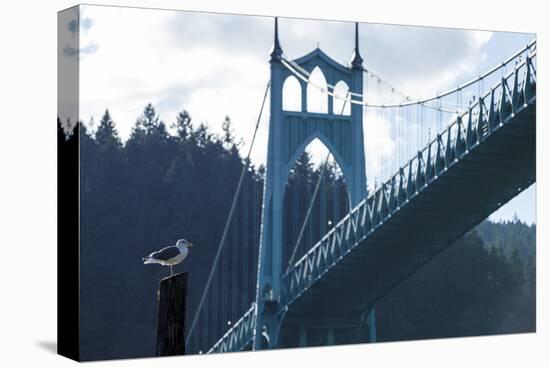 Oregon, Portland, Cathedral Park, Western Gull in Front of St. John's Bridge-Rick A. Brown-Premier Image Canvas