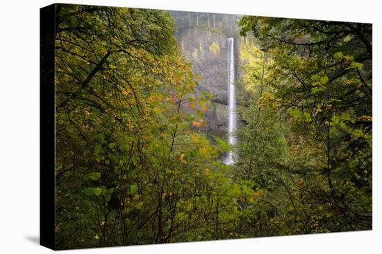 Oregon Waterfall-Jason Savage-Stretched Canvas
