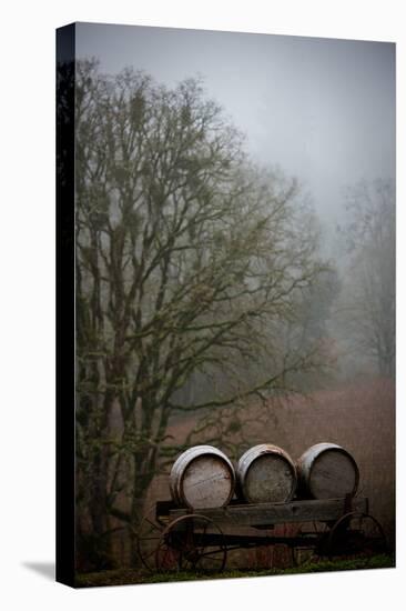 Oregon Wine Country I-Erin Berzel-Premier Image Canvas