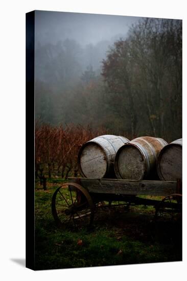 Oregon Wine Country II-Erin Berzel-Premier Image Canvas