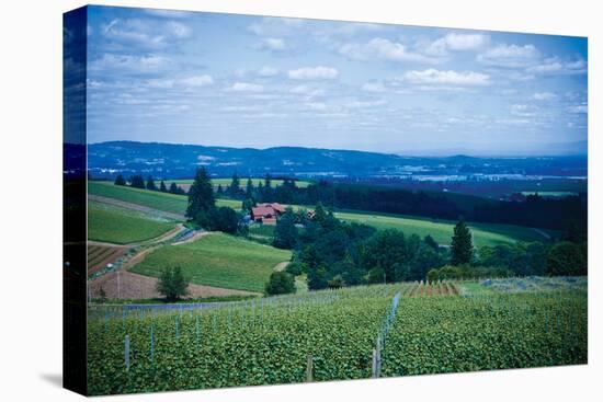 Oregon Wine Country-Erin Berzel-Premier Image Canvas