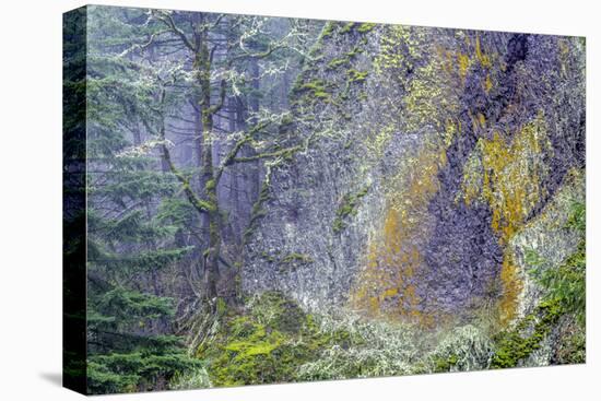 Oregon-Art Wolfe-Premier Image Canvas