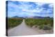 Organ Pipe Cactus National Monument, Ajo Mountain Drive in the Desert-Richard Wright-Premier Image Canvas