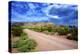 Organ Pipe Cactus National Monument, Ajo Mountain Drive in the Desert-Richard Wright-Premier Image Canvas