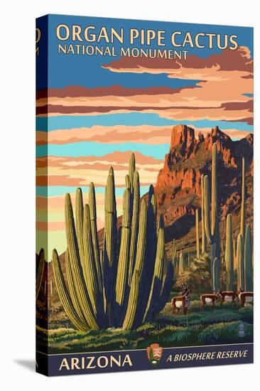 Organ Pipe Cactus National Monument, Arizona-Lantern Press-Stretched Canvas